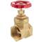 Brass female threaded gate valve