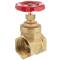 Brass female threaded gate valve