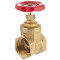 Brass female threaded gate valve 1"